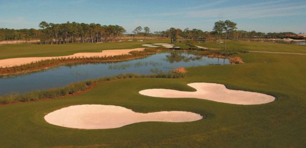 Course photo for Marco Island Marriott - The Rookery