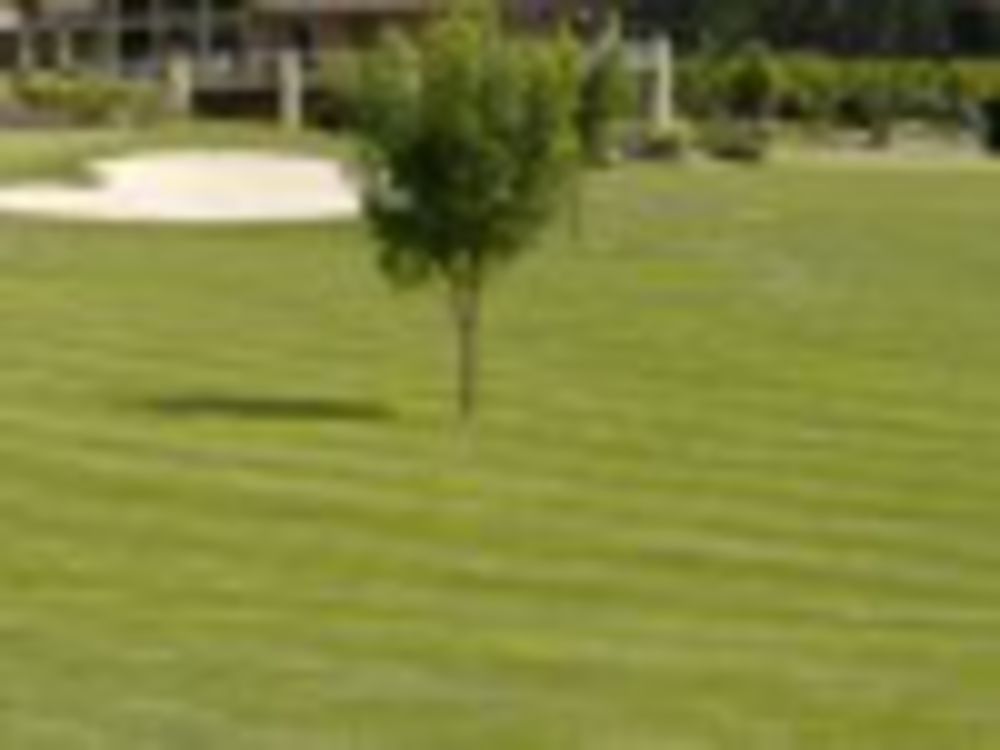 Course photo for Sunserra Golf Course