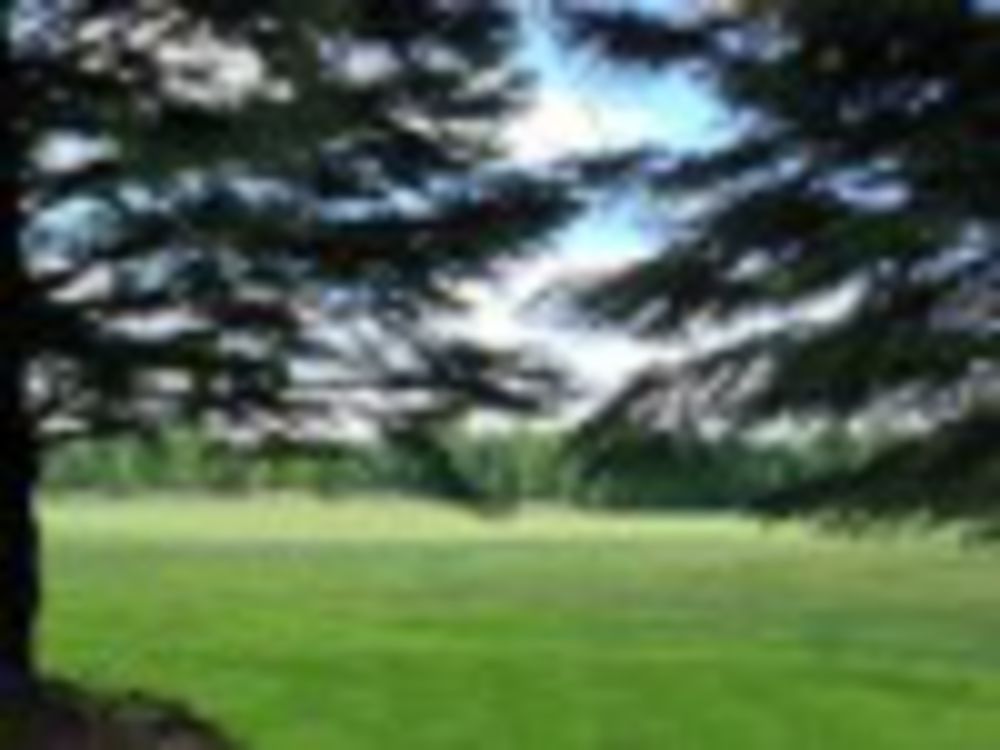 Course photo for Black River Golf Club
