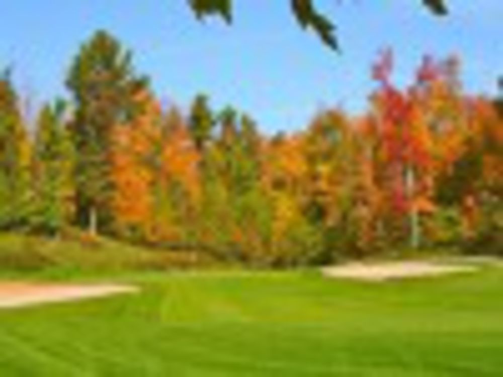 Course photo for Glacier Wood Golf Club