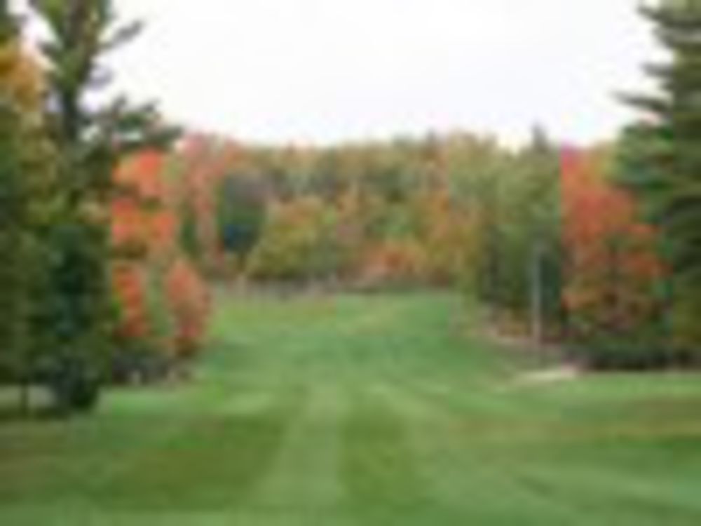 Course photo for Pine Hills Golf Course