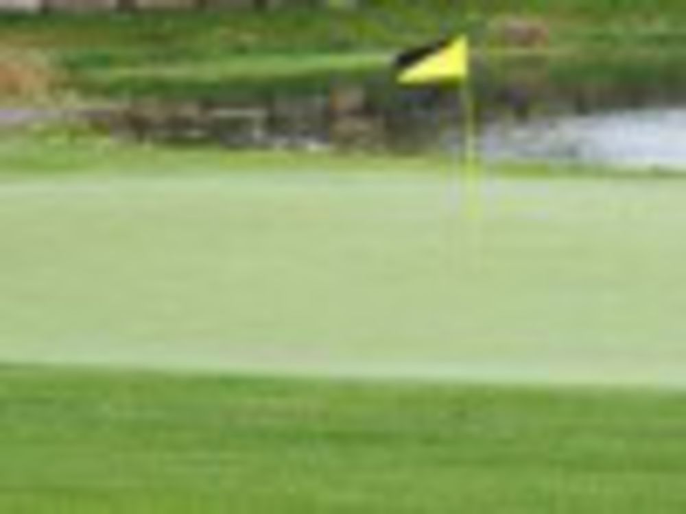 Course photo for Shepherd's Meadow Golf Course