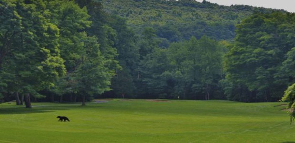 Course photo for Crystal Springs Resort-Minerals Course