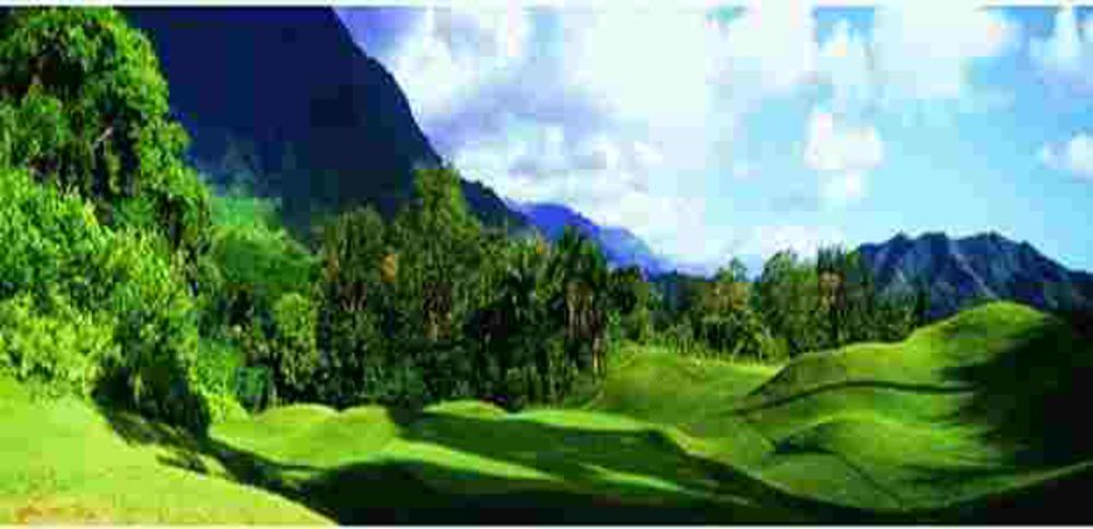 Course photo for Pear at Kalauao