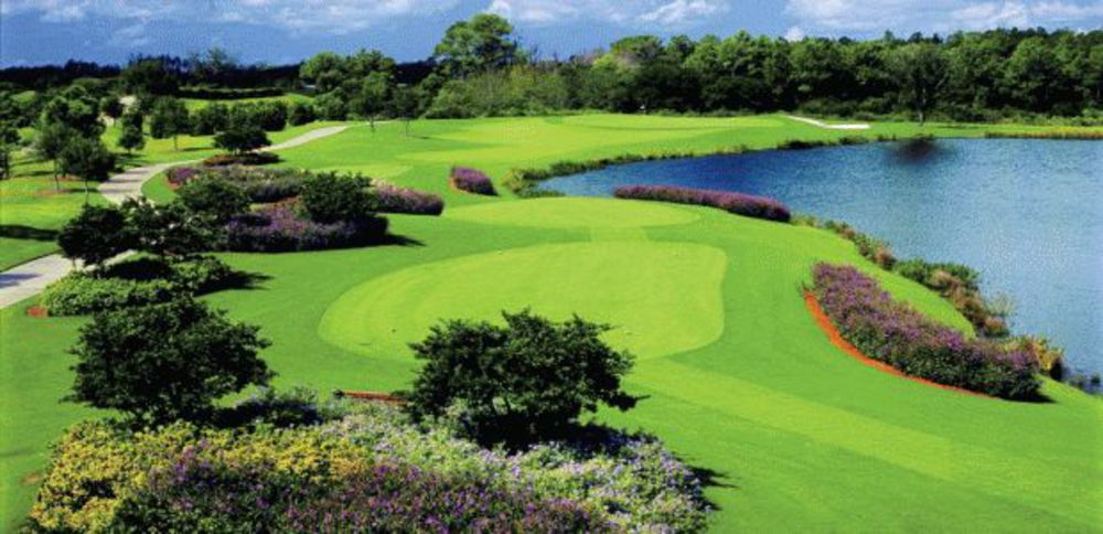 Course photo for Ritz Carlton Members Golf Club